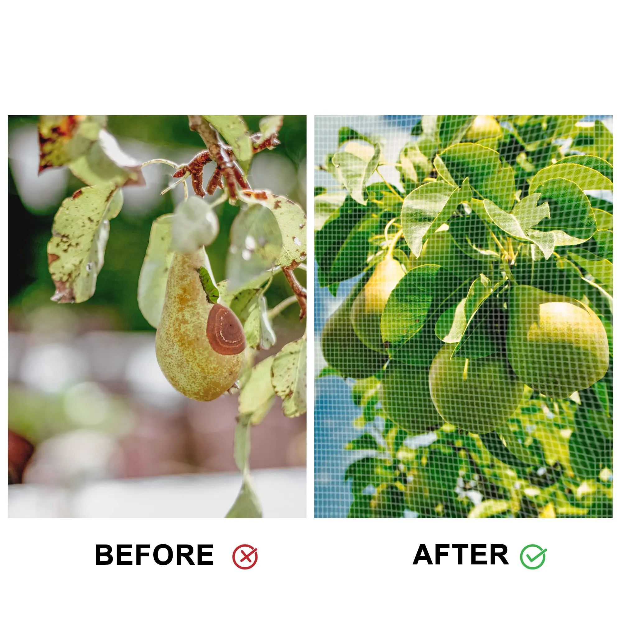 ACBungji 8 Packs Plant Netting with Drawstring Protect Garden Blueberry Bushes Citrus Tomato, 2.62 * 3.28ft Bird Bugs Insect Barrier Netting Mesh Bag for Protective Cover Trees Fruits Vegetables